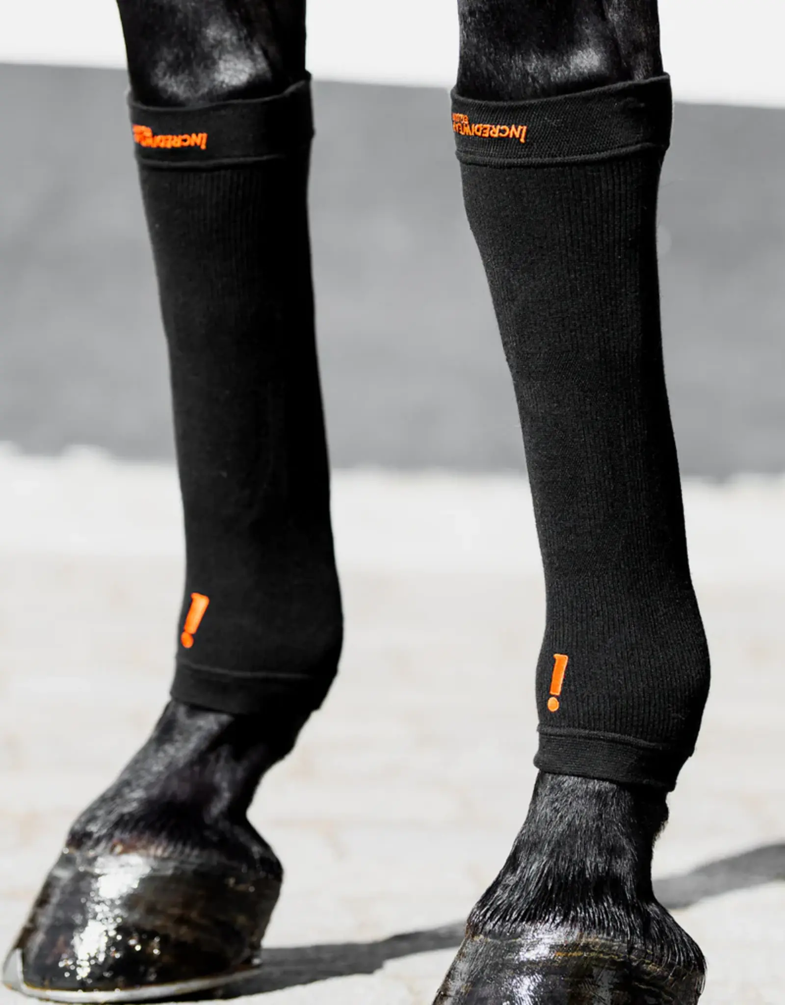 Incrediwear Equine Incrediwear Circulation Hoof Socks - Black