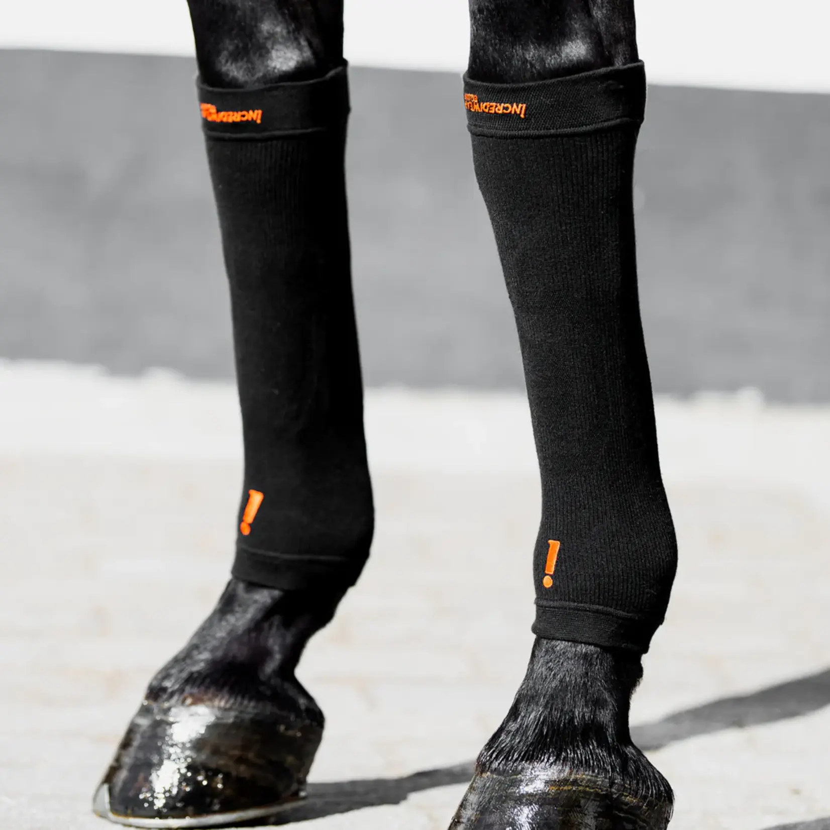 Incrediwear Equine Incrediwear Circulation Hoof Socks - Black