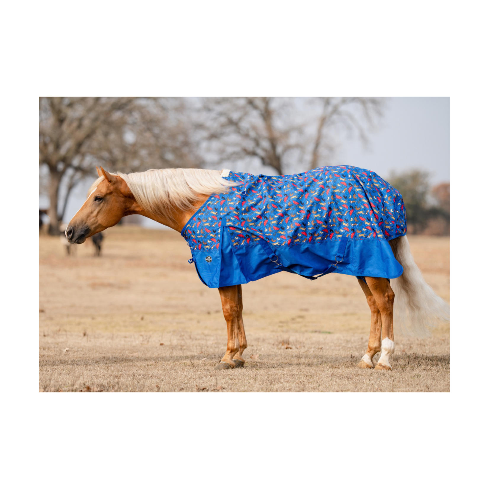 Professional's Choice Pony Turnout Sheet