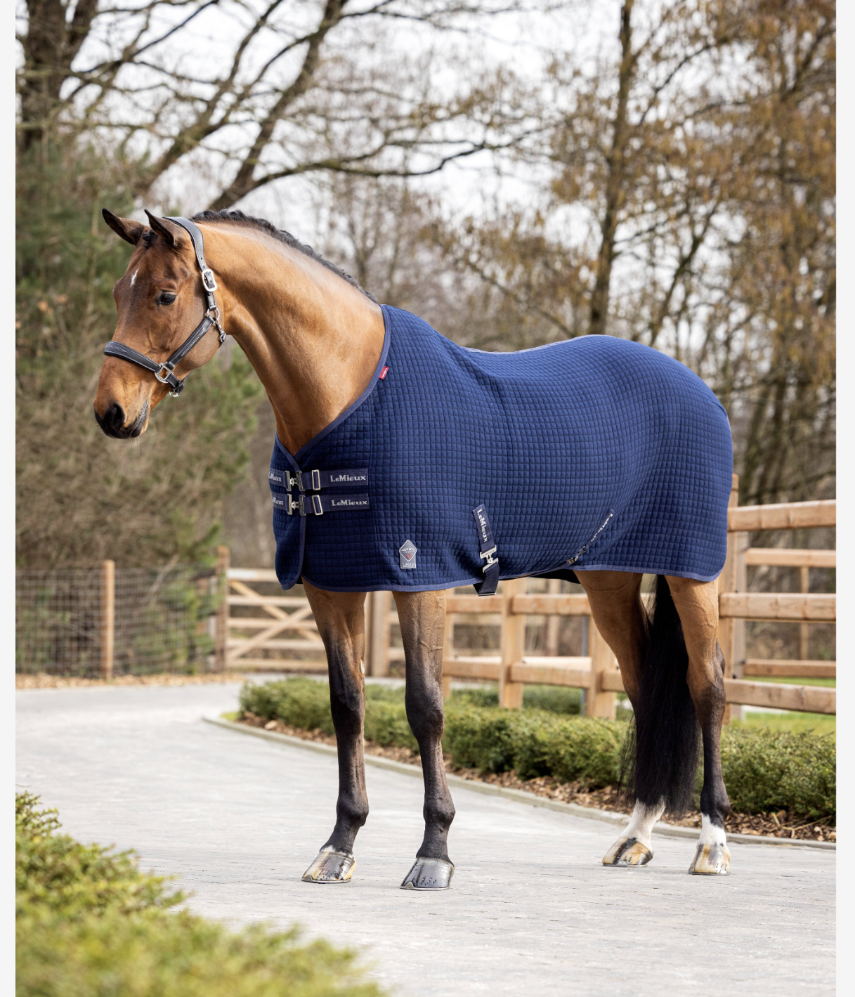 Arika Waterproof Quarter Sheet Navy Horse