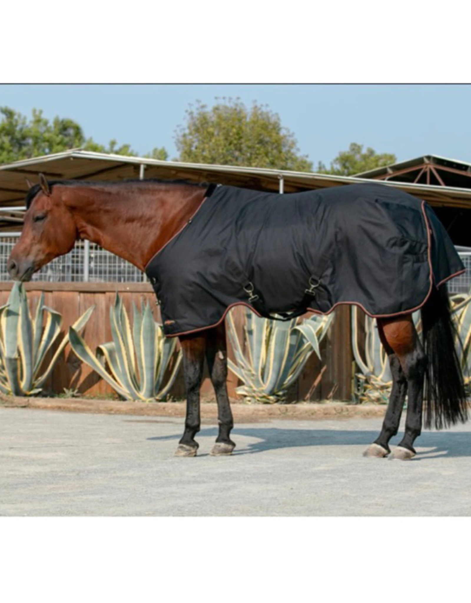 Kensington Surefit 180g Turnout Blanket