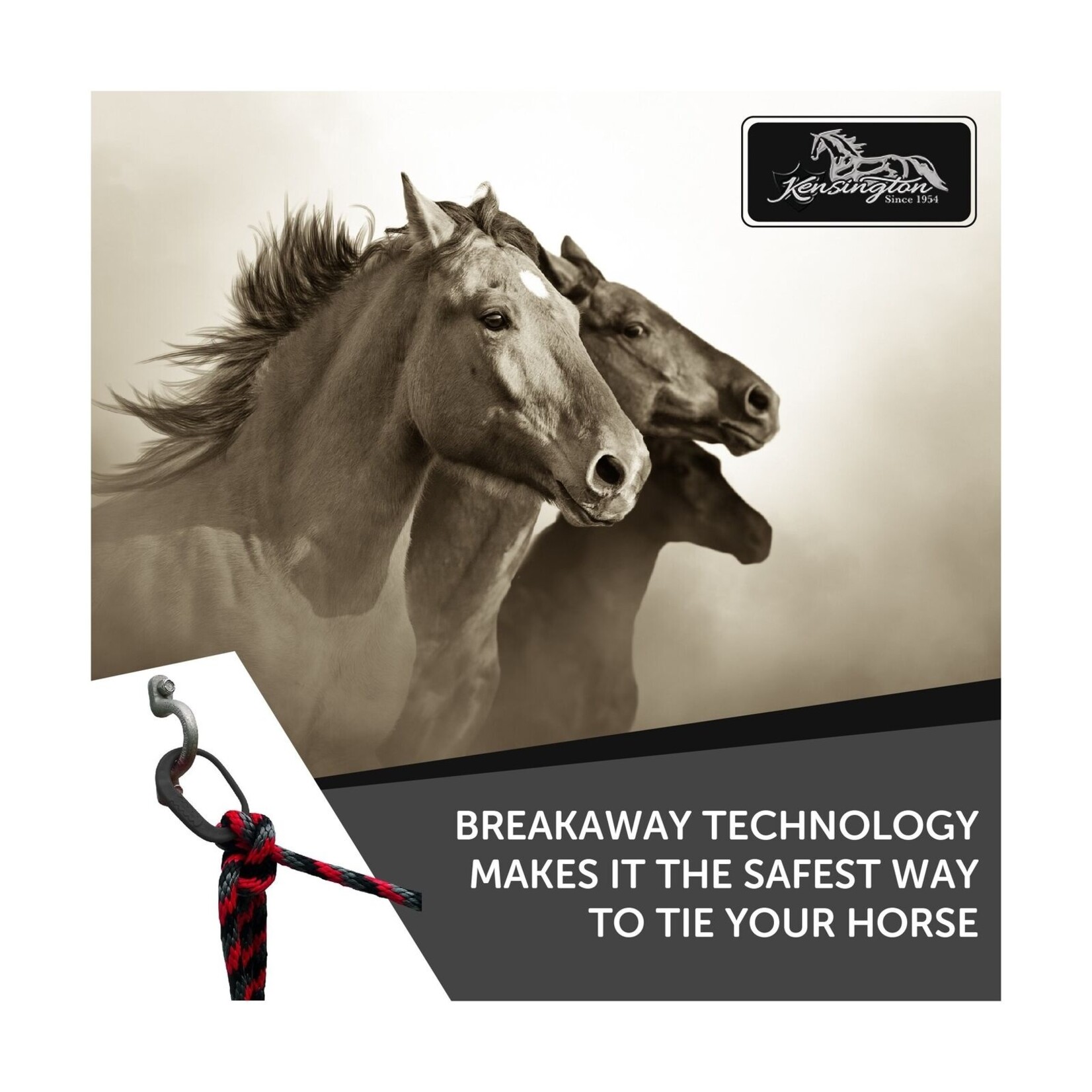 Kensington Safe-T-Tie Breakaway Tether Release Ring