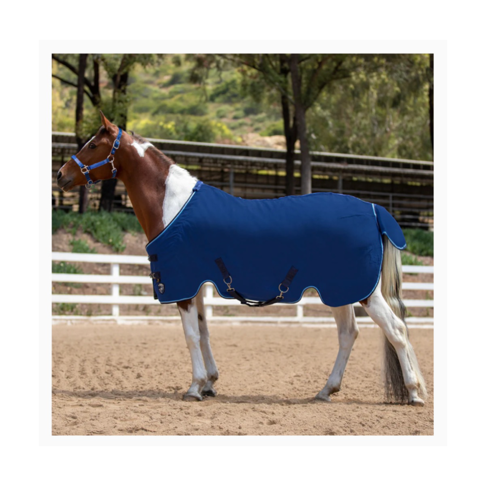 Kensington Cotton SureFit Stable Sheet