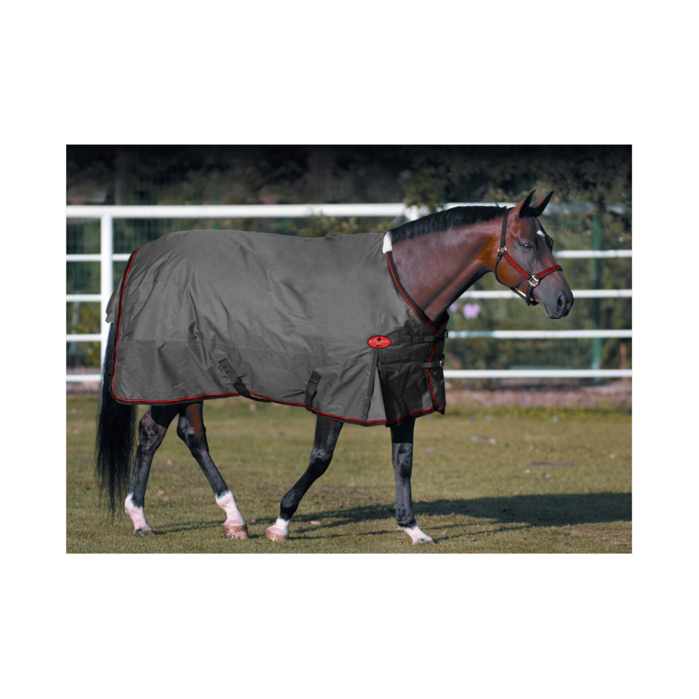 Calabasas Saddlery - Big D Sussex Lite 100g Turnout Blanket