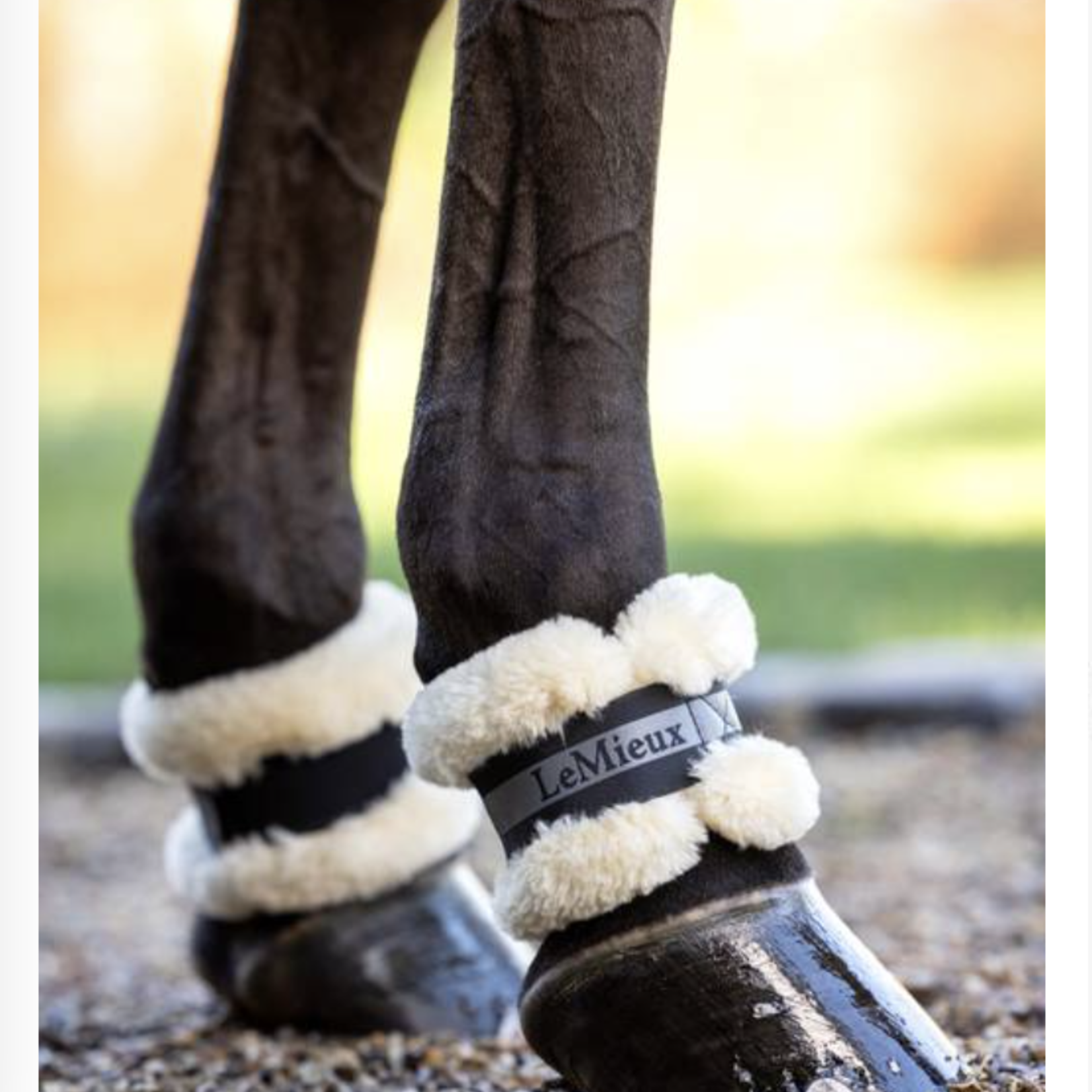 Lemieux LeMieux Fleece Pastern Wrap
