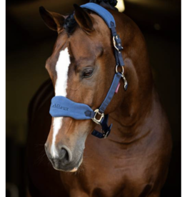 Halters & Leads - Calabasas Saddlery