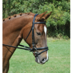 Red Barn Levade Bridle