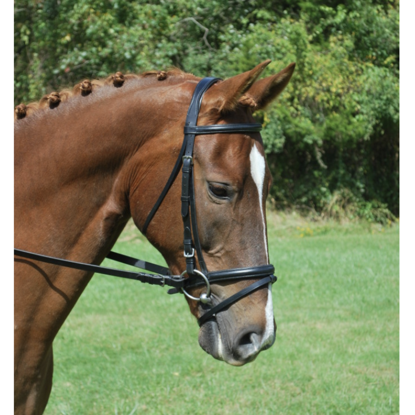 Red Barn Levade Bridle