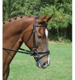 Red Barn Levade Bridle