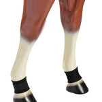 JMI Neoprene Pastern Wraps