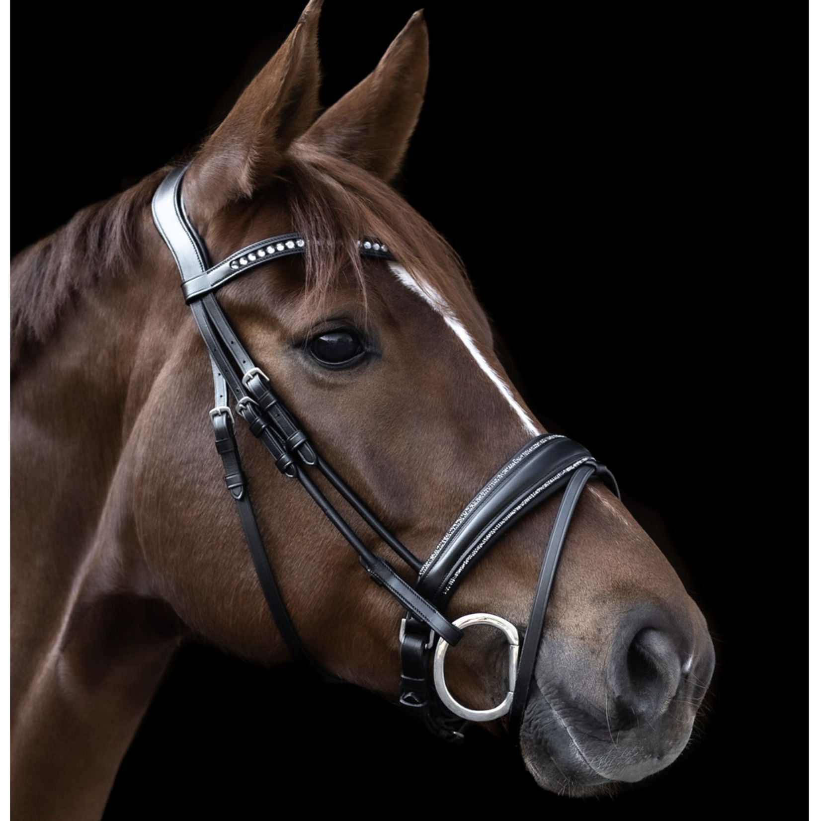 Waldhausen Glamour Bridle