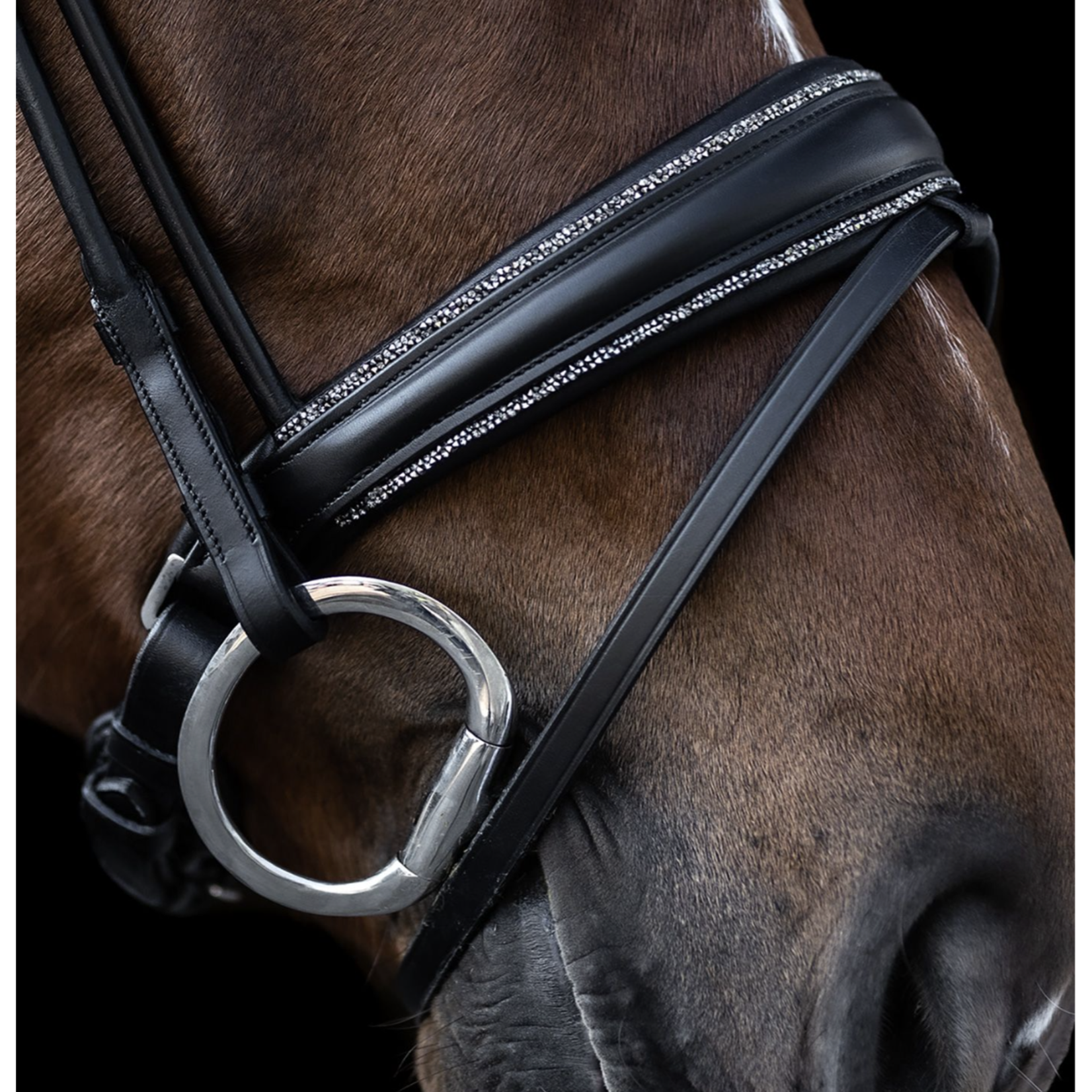 Waldhausen Glamour Bridle