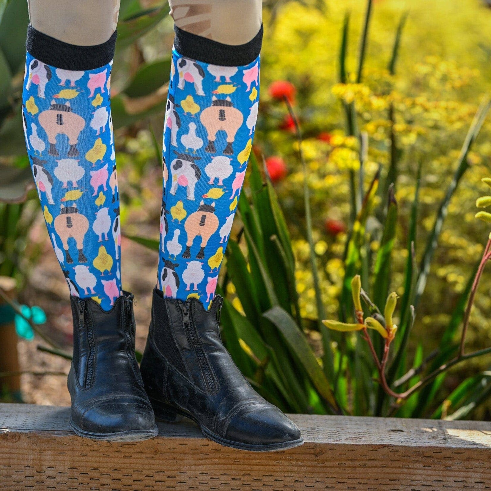 Dreamers & Schemers Ladies' Socks