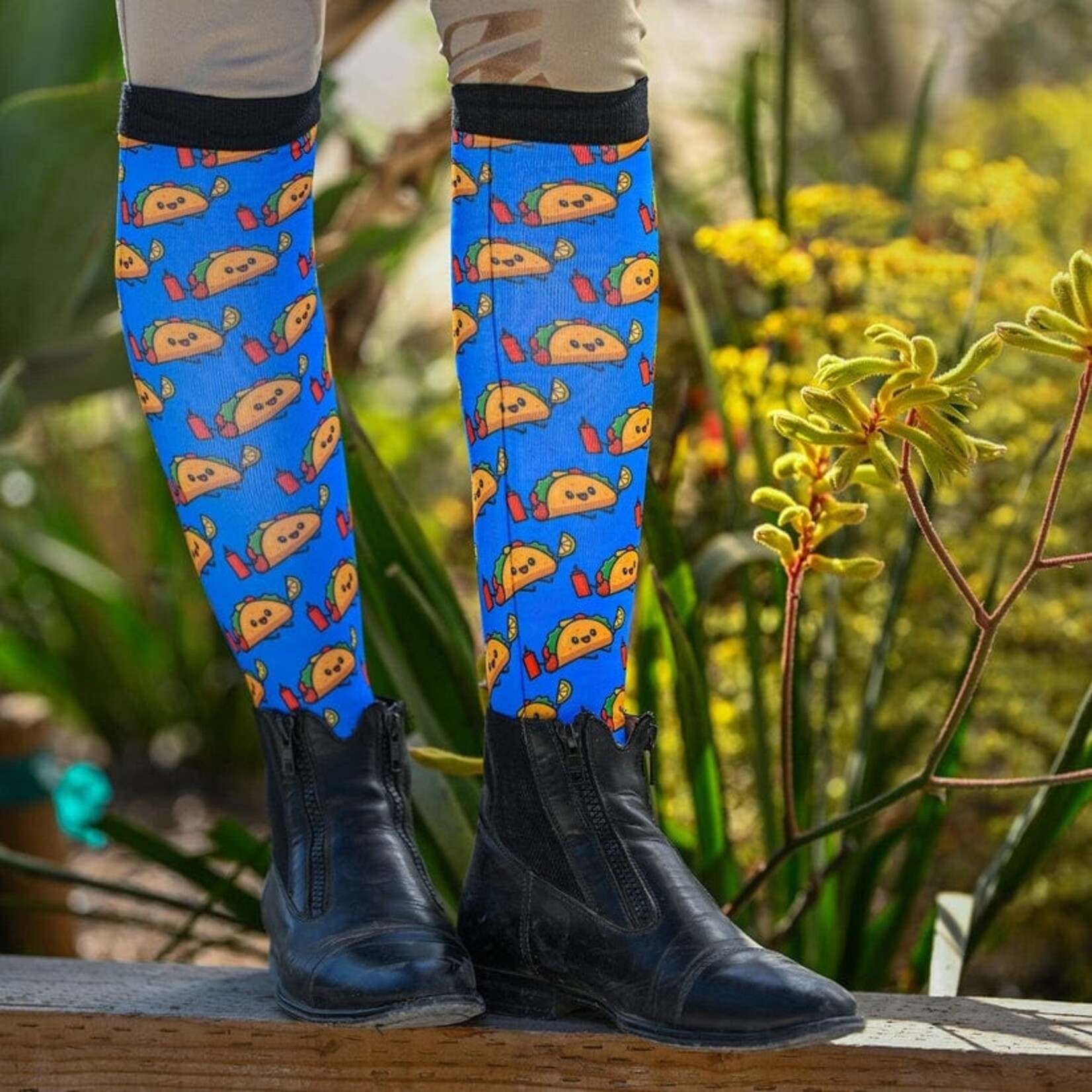 Dreamers & Schemers Ladies' Socks