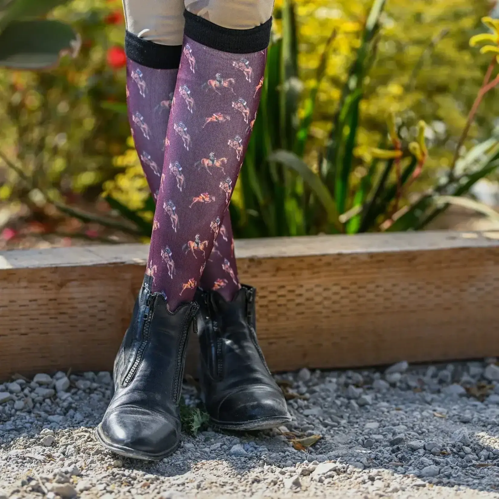 Dreamers & Schemers Ladies' Socks