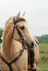 Circle Y Vintage Sunflower Headstall