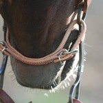 Headstall & Bit Accessories