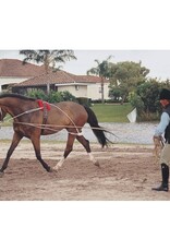 Pessoa Pessoa Lunging System