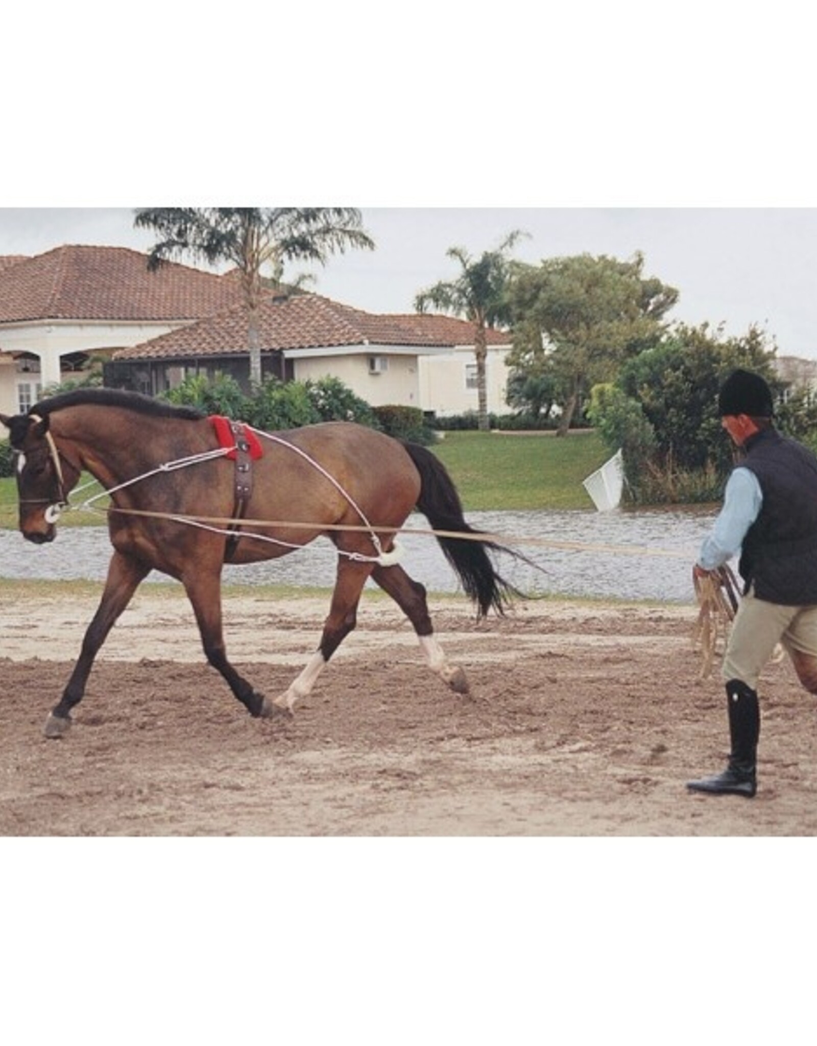 Pessoa Pessoa Lunging System