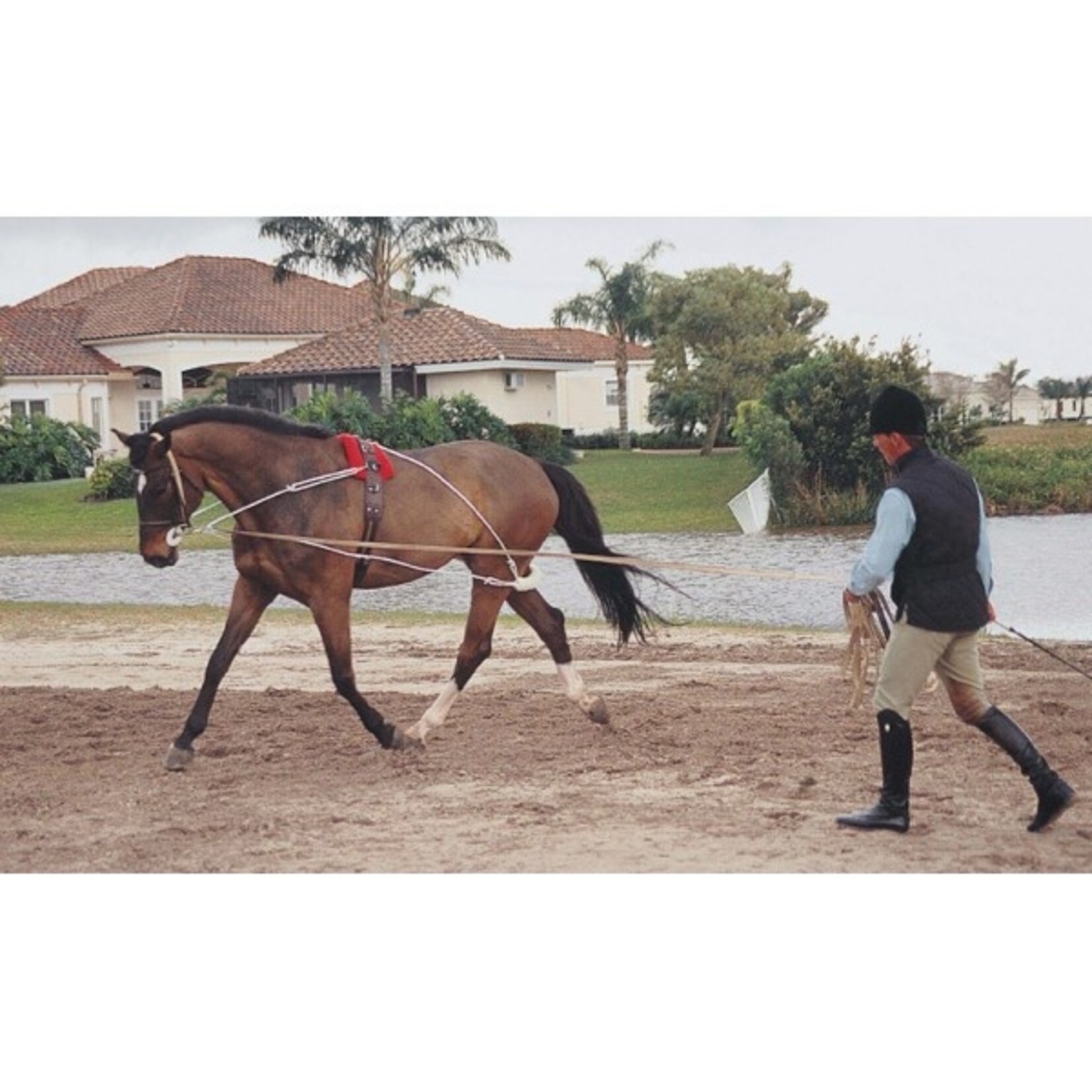 Pessoa Pessoa Lunging System