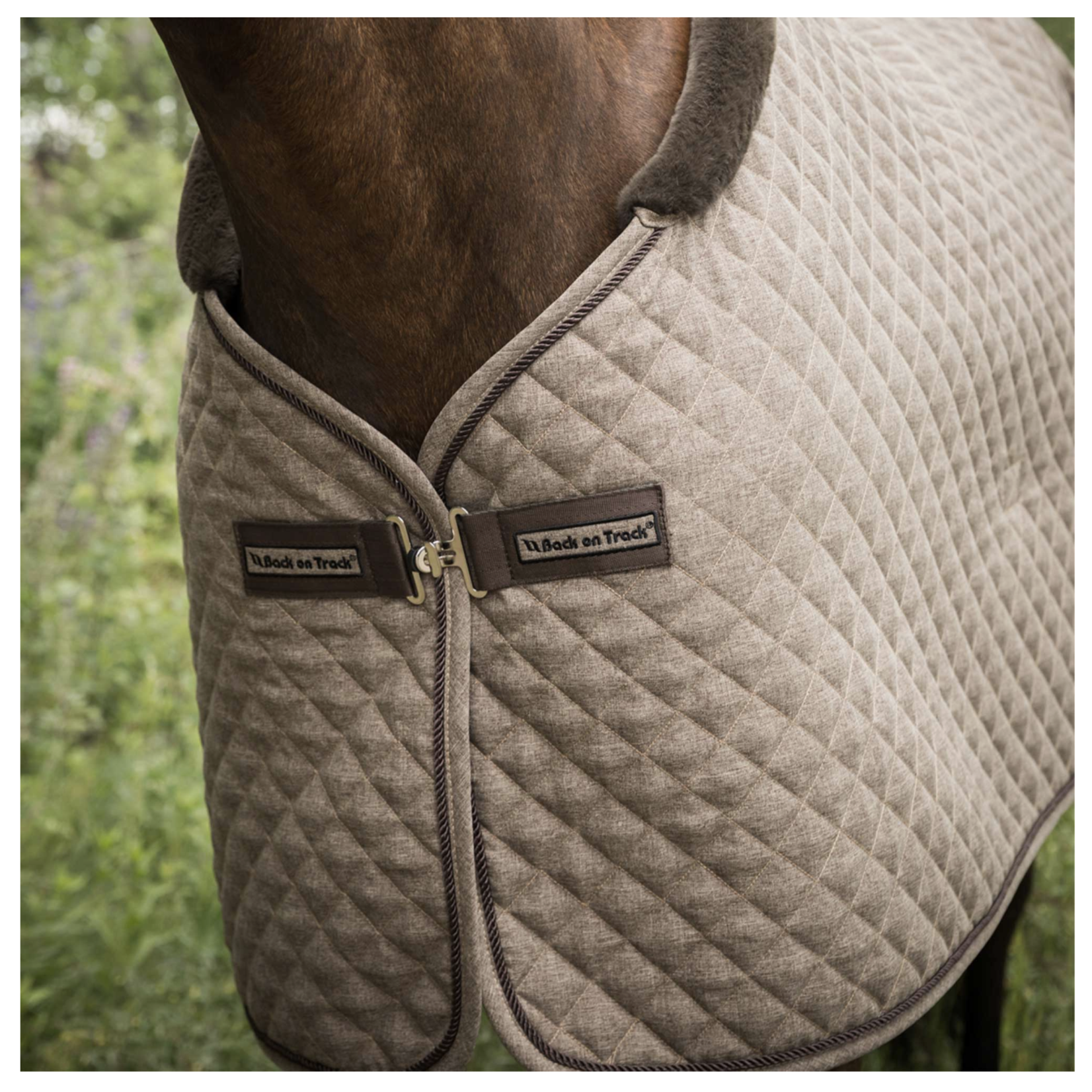 Back on Track Haze Show Cooler