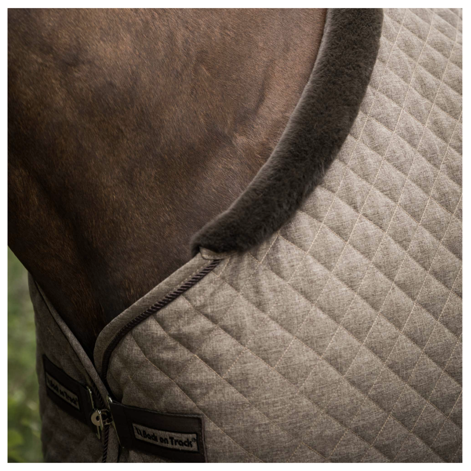 Back on Track Haze Show Cooler