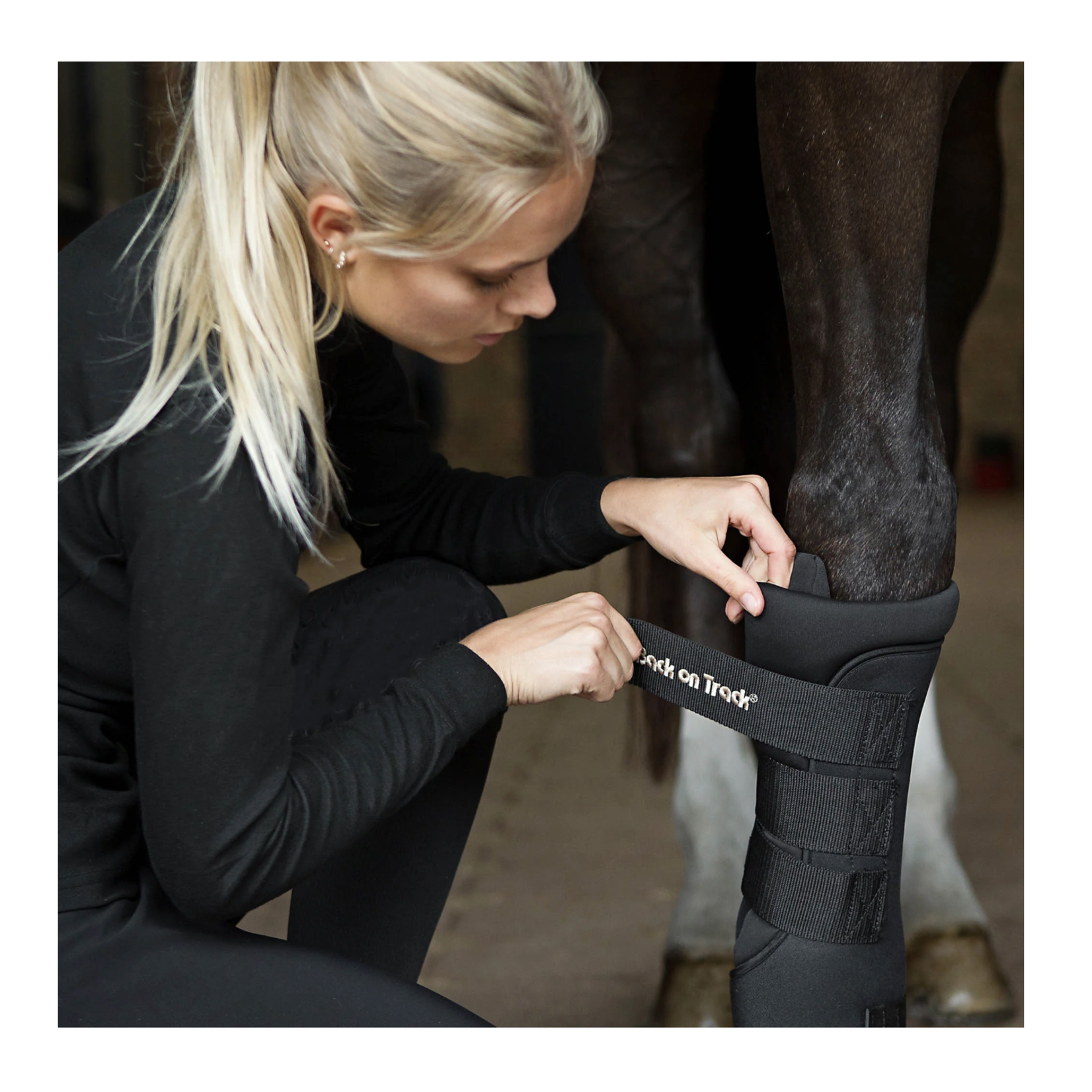 Back on Track Royal Quick Wraps