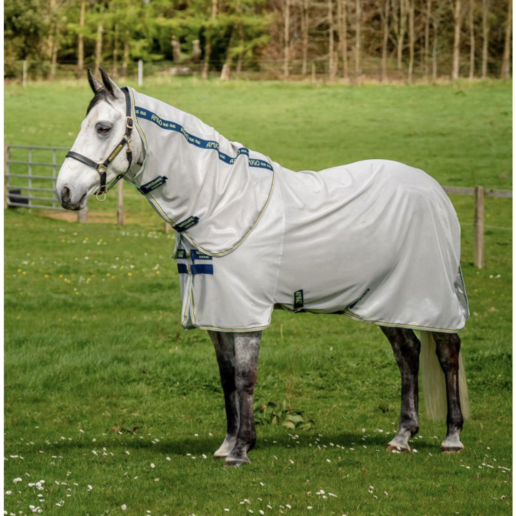 Amigo Bug Rug with Detachable Neck Fly Sheet