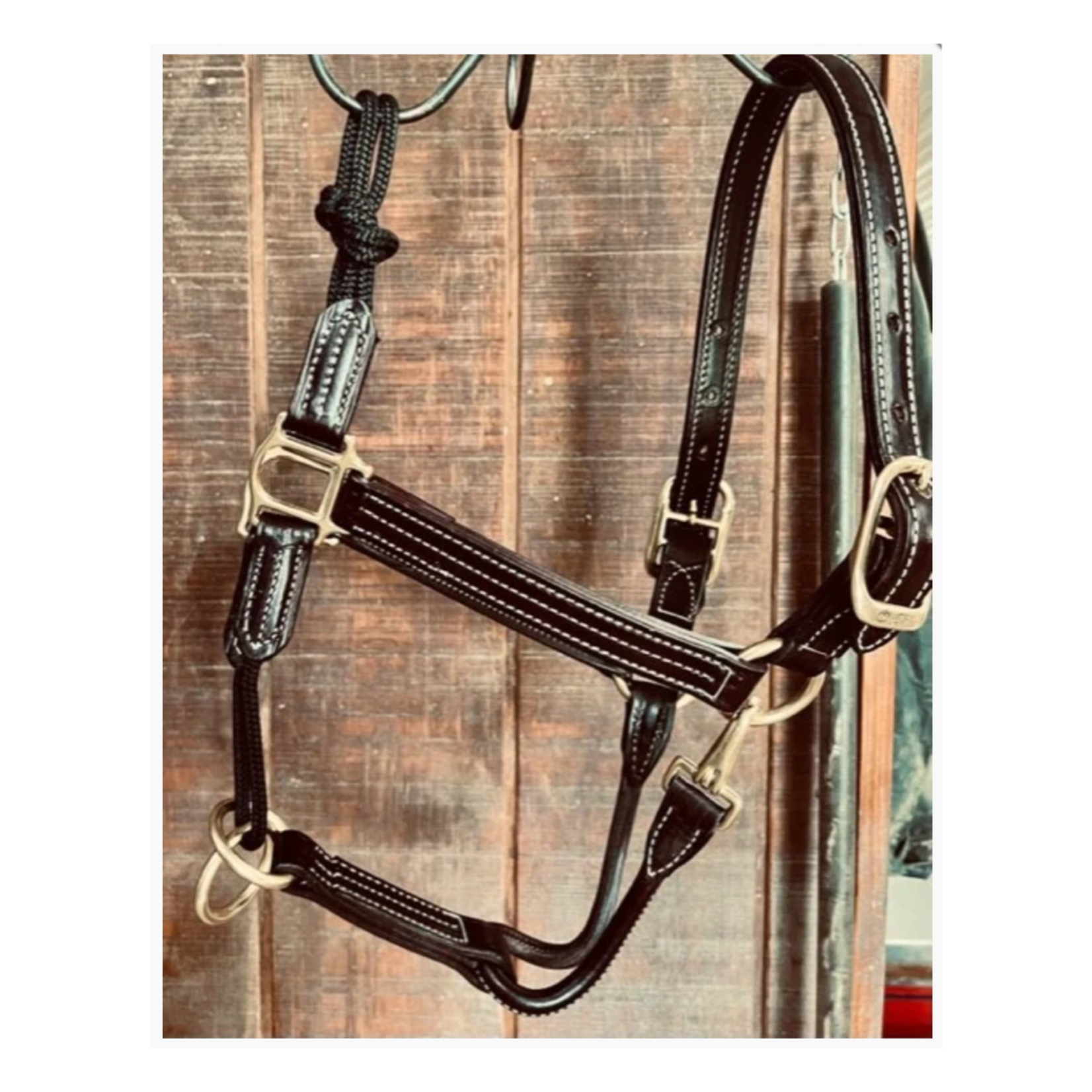 Walsh Rope Nose British Halter