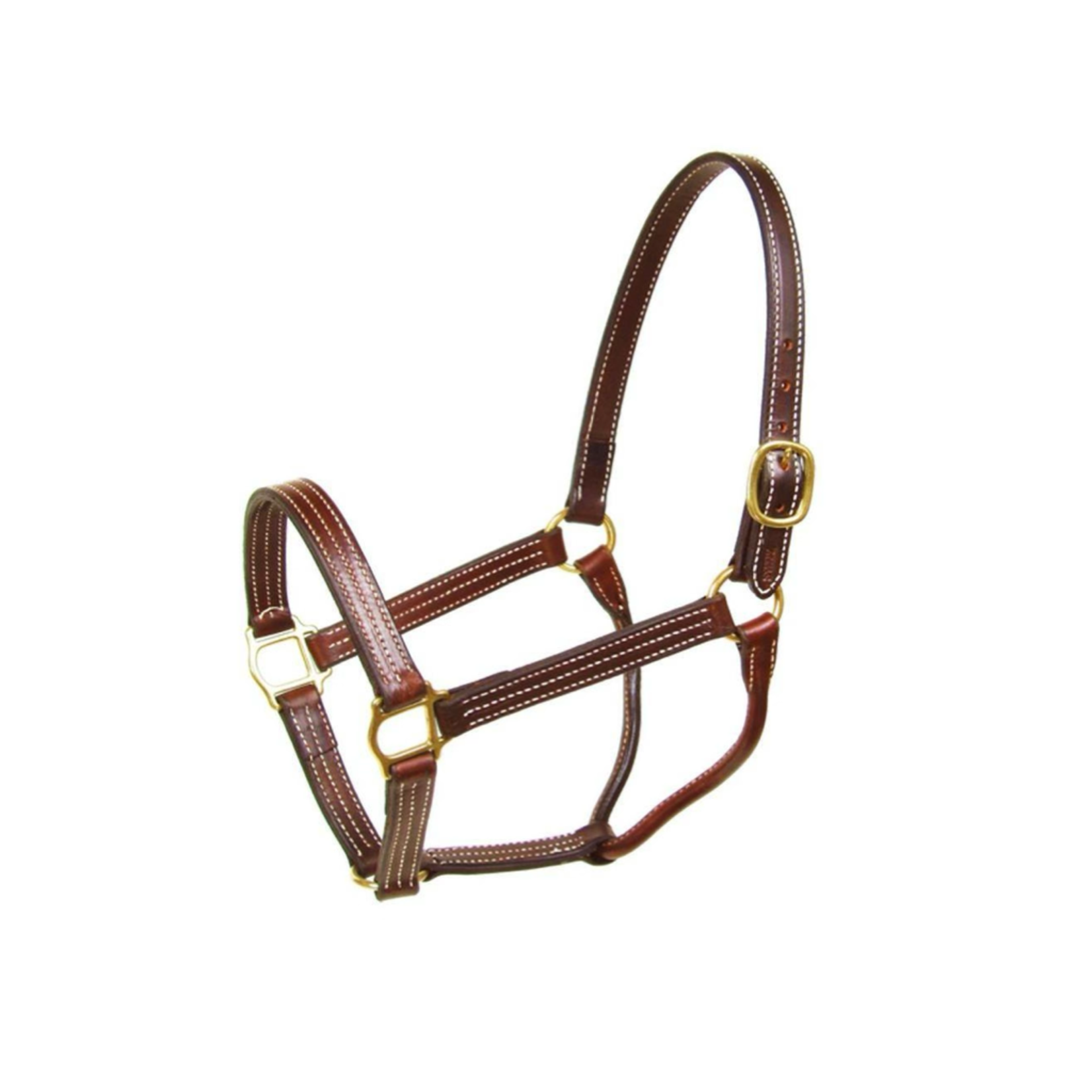 Walsh Triple Stitch British Halter