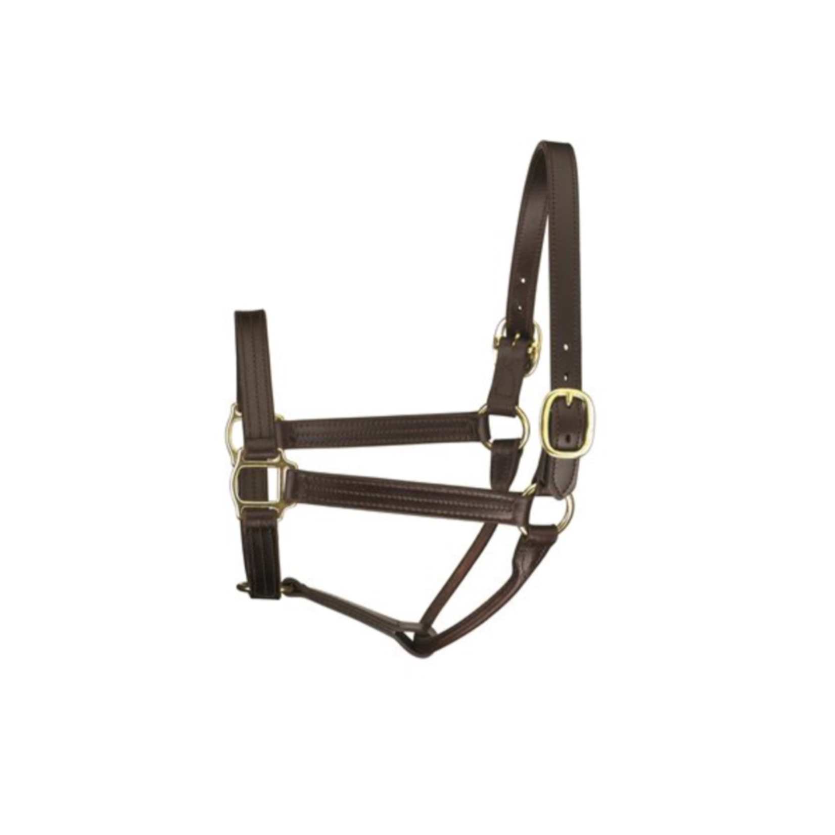 Perri's Leather Premium Track Leather Halter