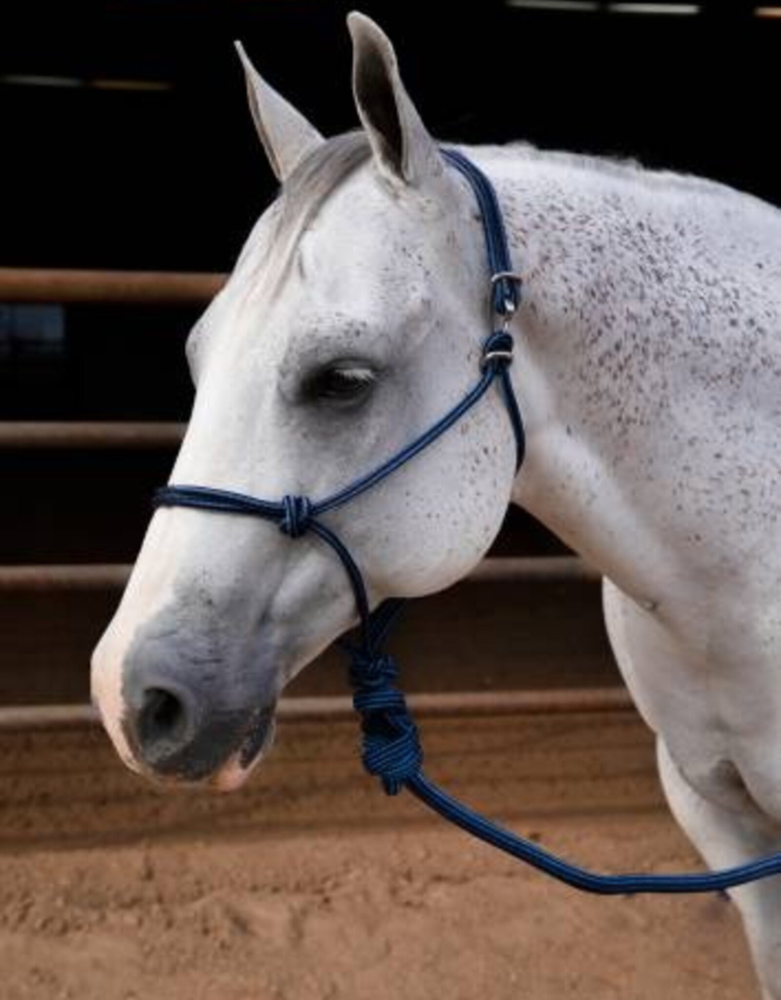 Professional's Choice Easy on Rope Halter with Lead