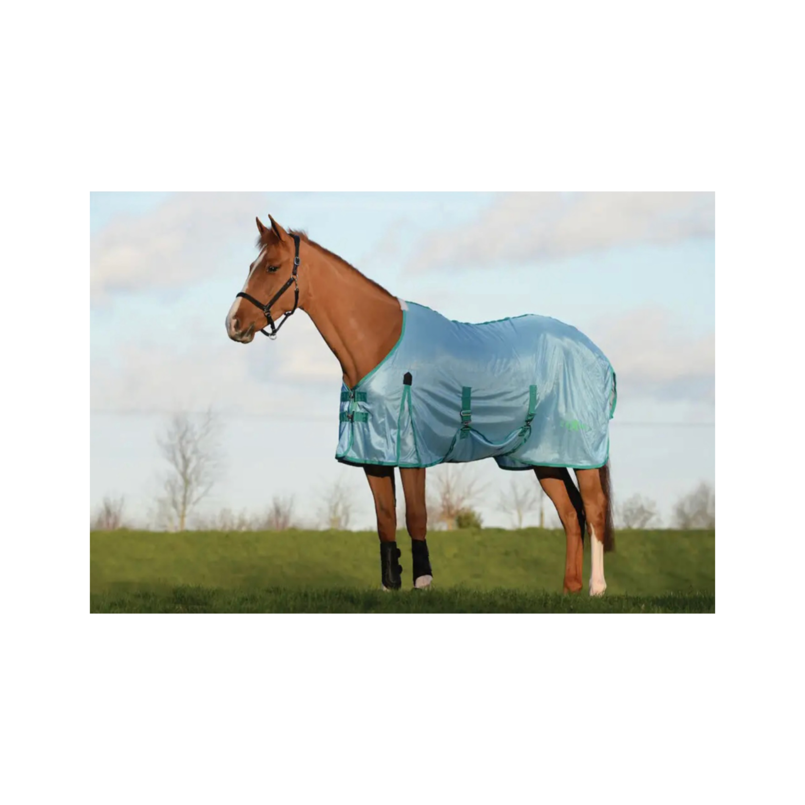 Saxon Saxon Mesh with Belly Wrap Fly Sheet