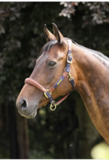 Shires Lusso Padded Leather Halter