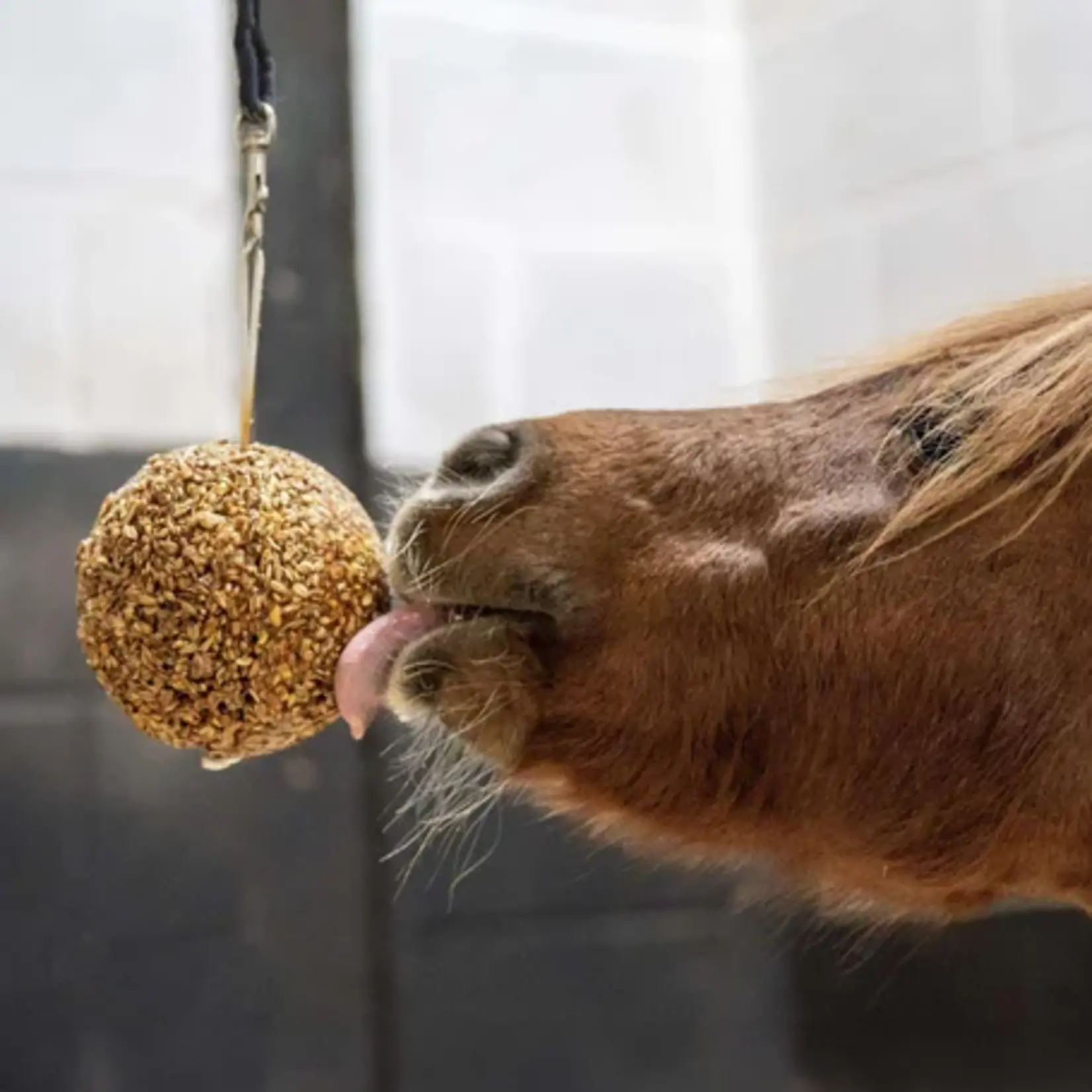 Likit Likit Granola Molasses Stall Ball