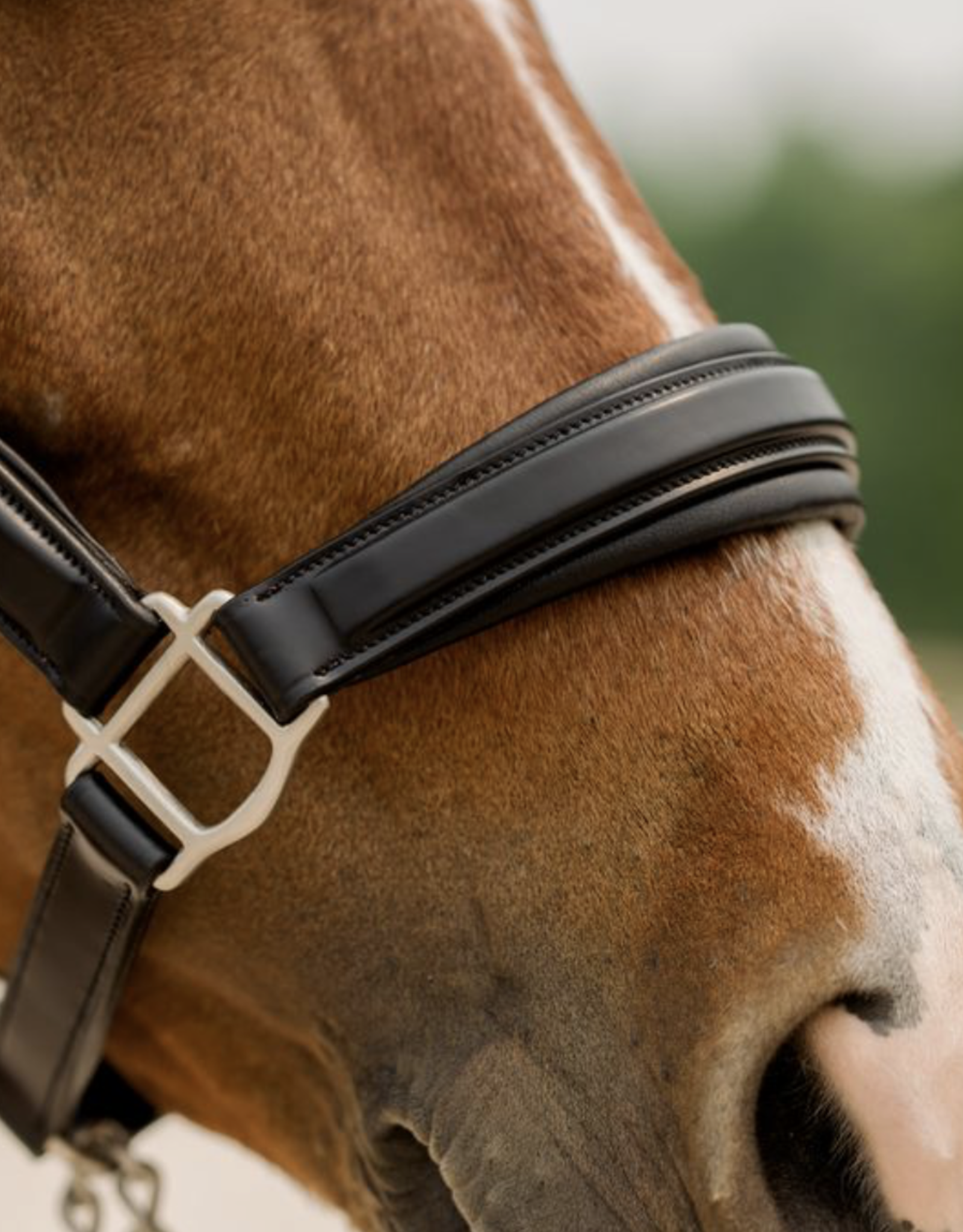 Red Barn Nina Leather Padded Halter