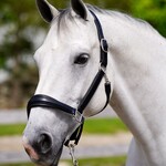 Red Barn Nina Halter