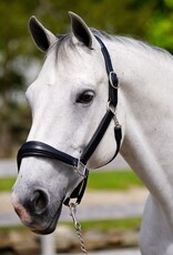 Red Barn Nina Leather Padded Halter