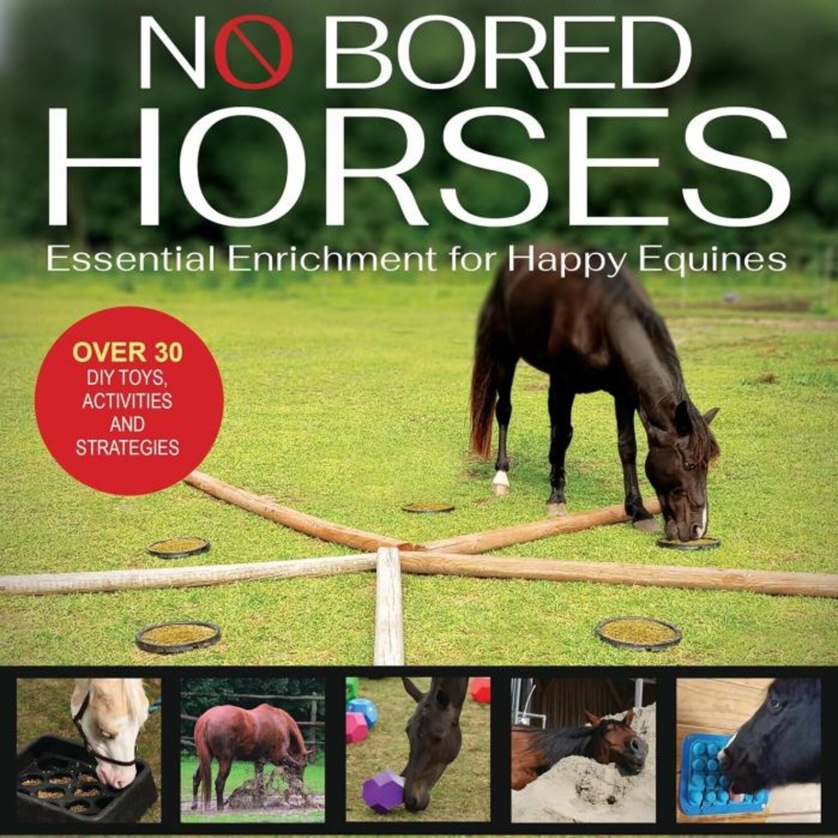 No Bored Horses