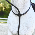 Red Barn No Donut Standing  Martingale
