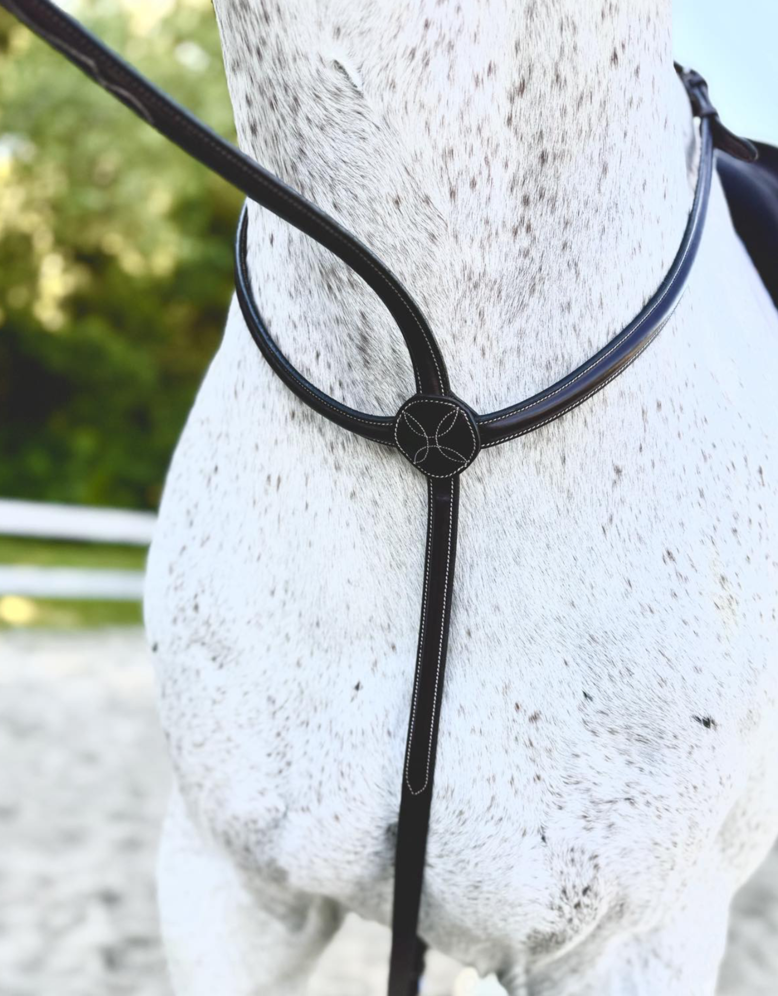 Red Barn No Donut Standing Martingale