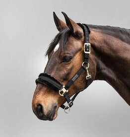 Waldhausen Exclusive Halter