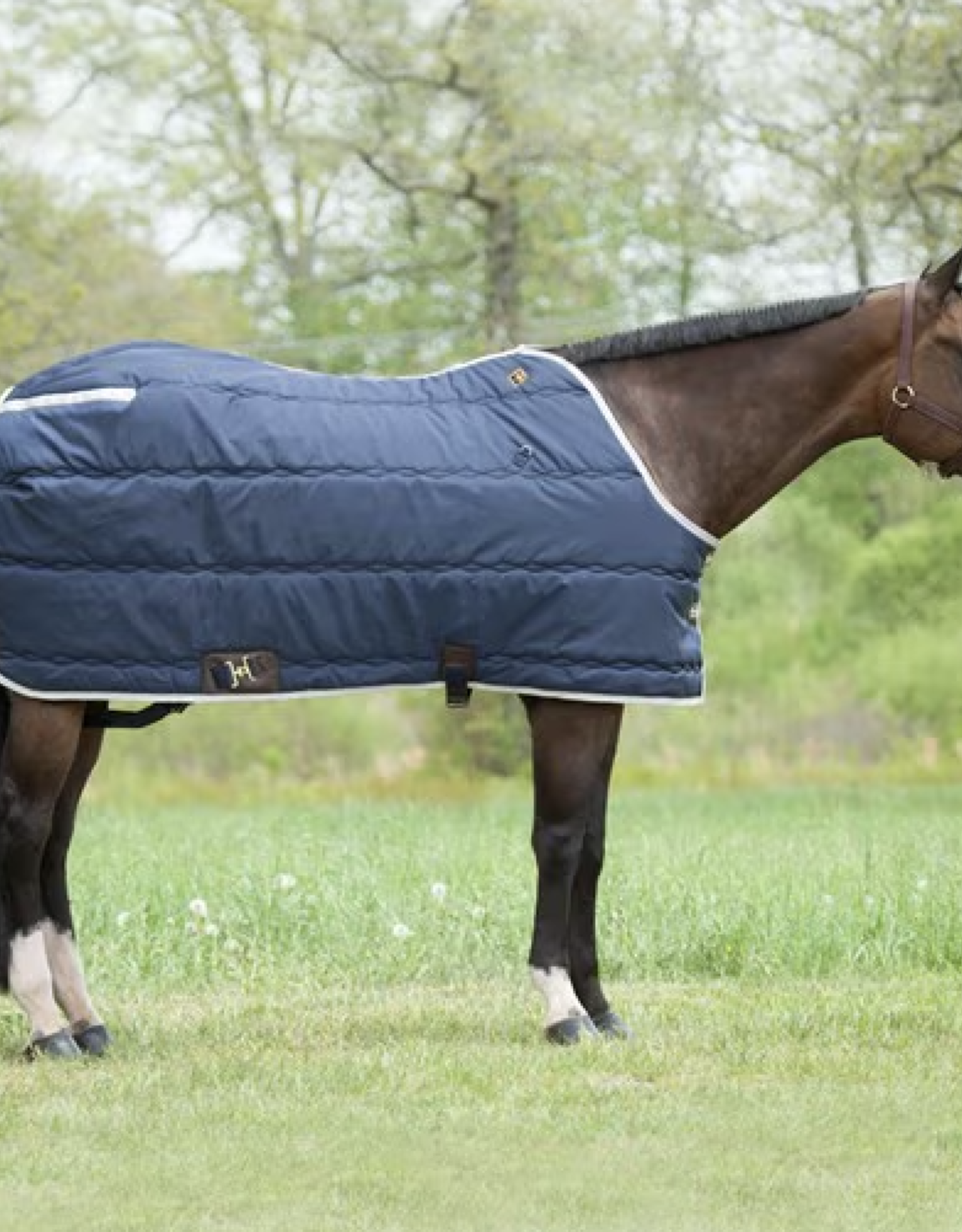 Big D Big D Kodiak Open Front Blanket