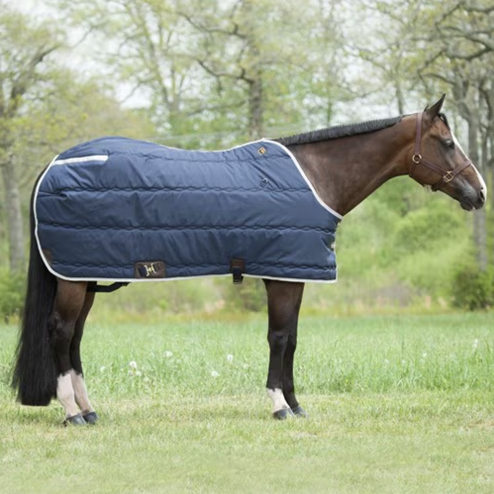 Big D Big D Kodiak Open Front Blanket