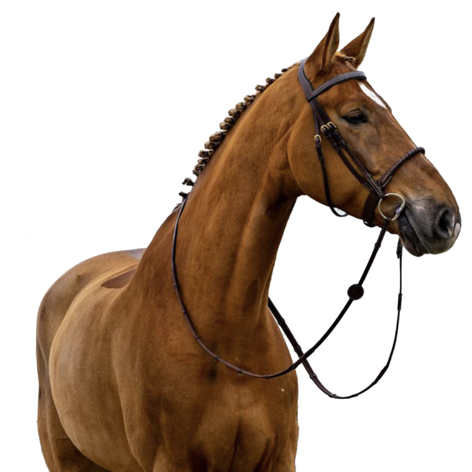 Trust Eq Dublin Leather Covered Rope Nose Bridle