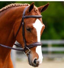 Black Oak Tupelo Bridle