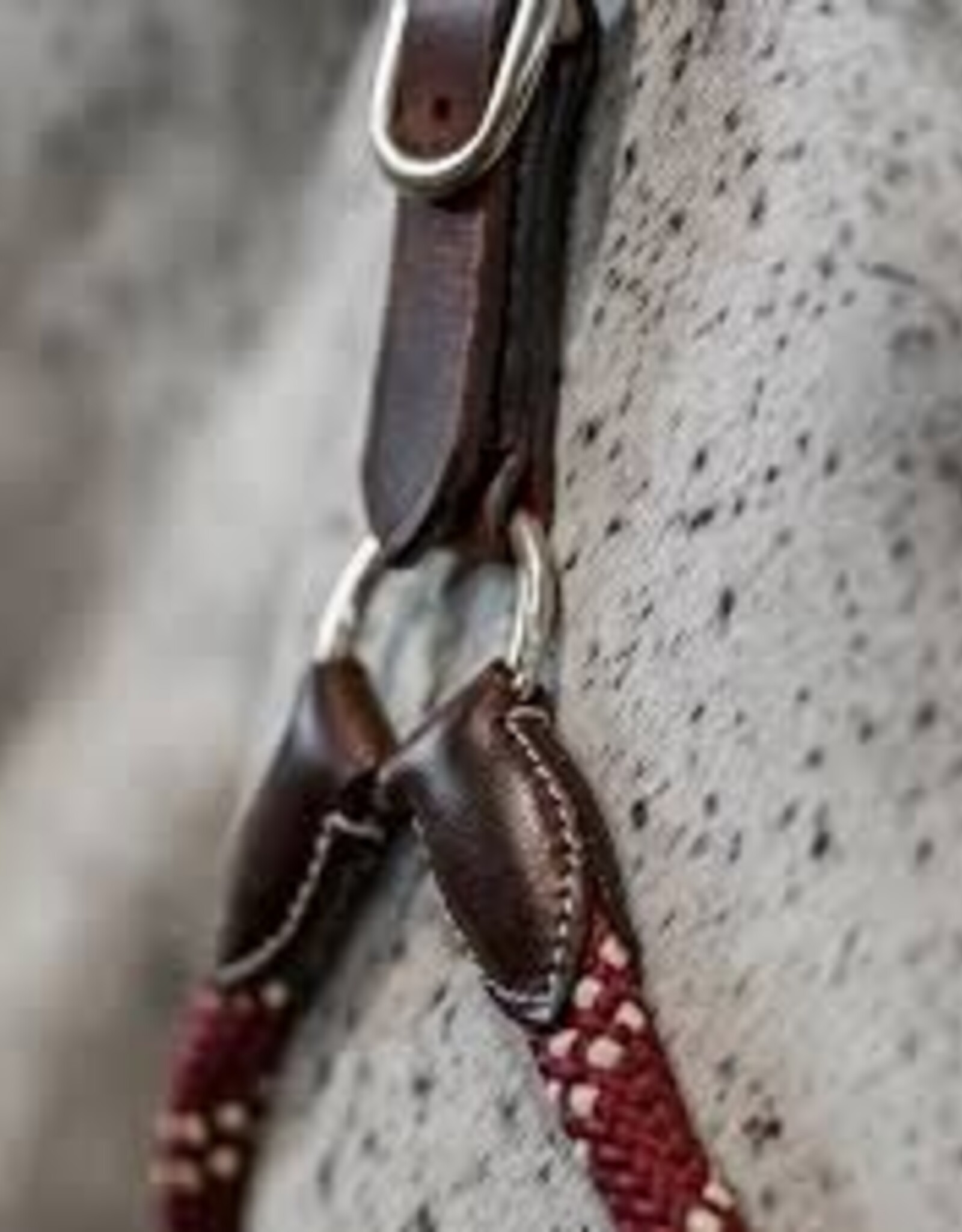 Commonwealth Saddles Commonwealth Banff Halter & Lead Set
