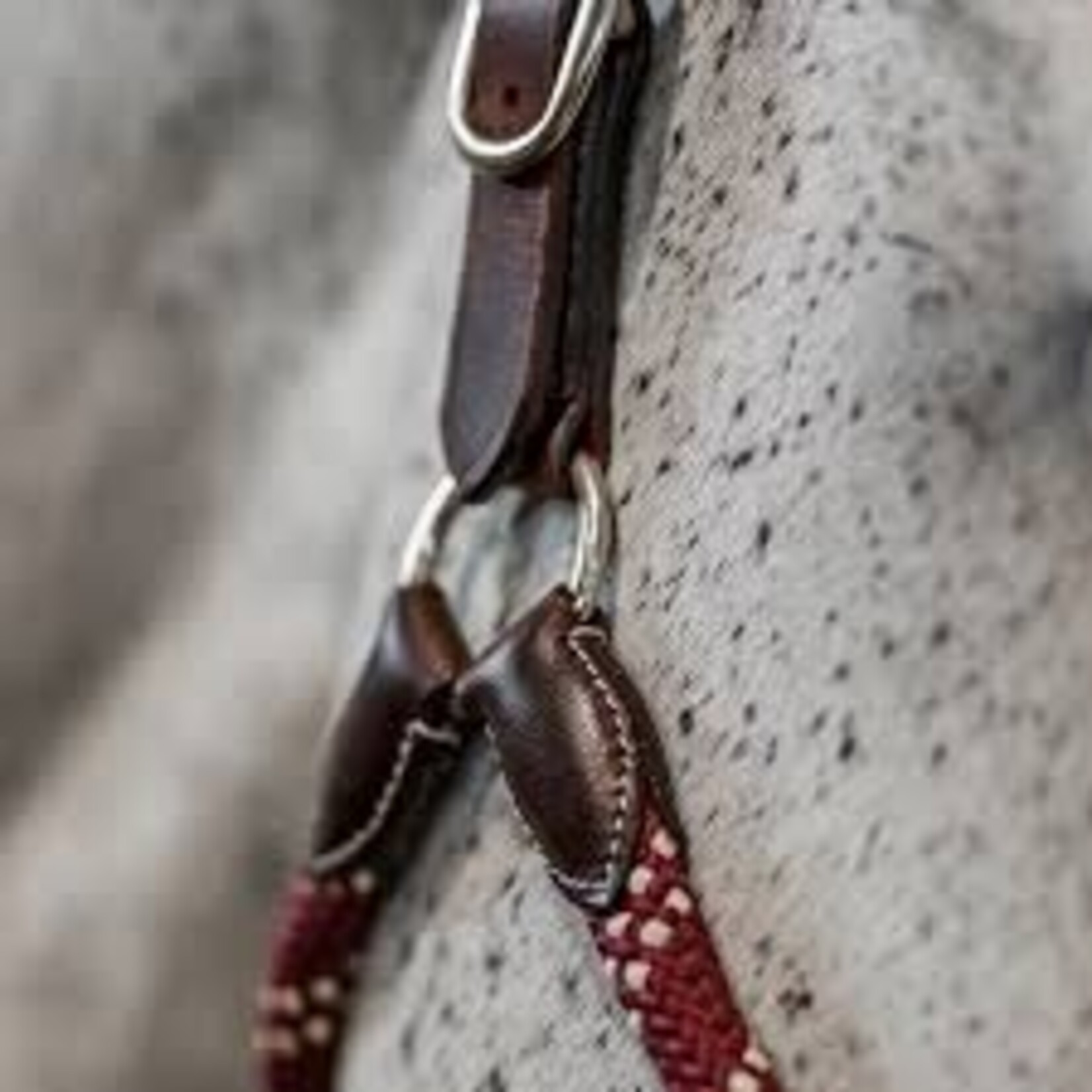 Commonwealth Saddles Commonwealth Banff Halter & Lead Set