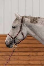 Commonwealth Saddles Commonwealth Banff Halter & Lead Set
