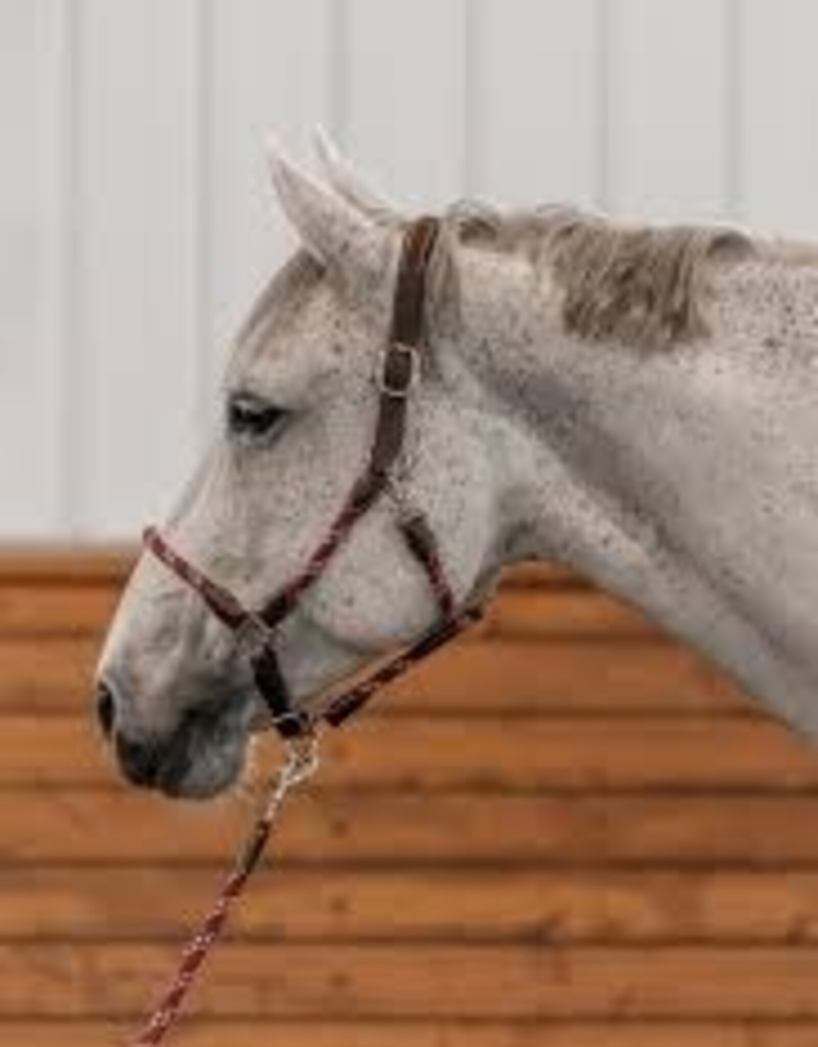 Commonwealth Saddles Commonwealth Banff Halter & Lead Set